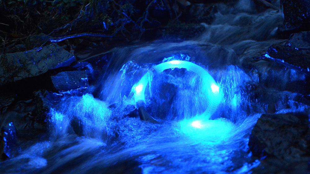 Collare luminoso LEUCHTIE nel torrente di montagna