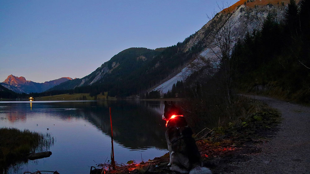 Serata al lago di montagna con collare di lanterna LEUCHTIE