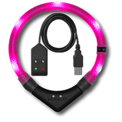 collare luminoso LEUCHTIE Easy Charge